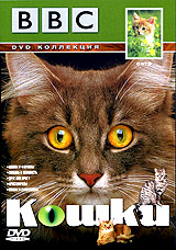 BBC: Кошки Формат: DVD (PAL) (Keep case) Дистрибьютор: СОЮЗ Видео Региональный код: 5 Субтитры: Русский Звуковые дорожки: Русский Dolby Digital 2 0 Английский Dolby Digital 2 0 Формат инфо 13646c.
