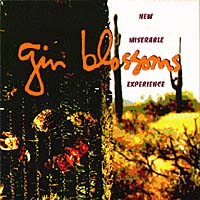 Gin Blossoms New Miserable Experience Формат: Audio CD Лицензионные товары Характеристики аудионосителей 1993 г Альбом: Импортное издание инфо 6714i.